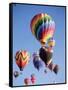 Colorful Hot Air Balloons in Sky, Albuquerque, New Mexico, USA-null-Framed Stretched Canvas