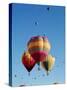 Colorful Hot Air Balloons in Sky, Albuquerque, New Mexico, USA-null-Stretched Canvas