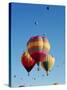 Colorful Hot Air Balloons in Sky, Albuquerque, New Mexico, USA-null-Stretched Canvas