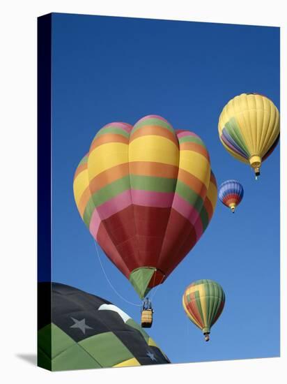 Colorful Hot Air Balloons in Sky, Albuquerque, New Mexico, USA-null-Stretched Canvas