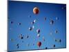 Colorful Hot Air Balloons in Sky, Albuquerque, New Mexico, USA-null-Mounted Photographic Print