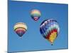 Colorful Hot Air Balloons in Sky, Albuquerque, New Mexico, USA-null-Mounted Photographic Print