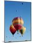 Colorful Hot Air Balloons in Sky, Albuquerque, New Mexico, USA-null-Mounted Photographic Print