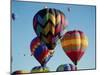 Colorful Hot Air Balloons in Sky, Albuquerque, New Mexico, USA-null-Mounted Photographic Print