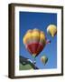 Colorful Hot Air Balloons in Sky, Albuquerque, New Mexico, USA-null-Framed Photographic Print