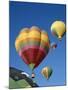 Colorful Hot Air Balloons in Sky, Albuquerque, New Mexico, USA-null-Mounted Photographic Print