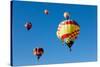 Colorful Hot Air Balloons on a Sunny Day-flippo-Stretched Canvas