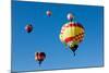 Colorful Hot Air Balloons on a Sunny Day-flippo-Mounted Photographic Print