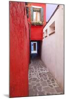 Colorful houses, Burano, Italy.-Terry Eggers-Mounted Photographic Print