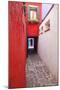 Colorful houses, Burano, Italy.-Terry Eggers-Mounted Photographic Print