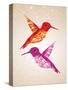 Colorful Humming Birds Illustration-cienpies-Stretched Canvas