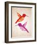 Colorful Humming Birds Illustration-cienpies-Framed Art Print