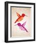 Colorful Humming Birds Illustration-cienpies-Framed Art Print