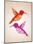 Colorful Humming Birds Illustration-cienpies-Mounted Art Print