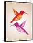Colorful Humming Birds Illustration-cienpies-Framed Stretched Canvas