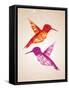 Colorful Humming Birds Illustration-cienpies-Framed Stretched Canvas