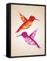 Colorful Humming Birds Illustration-cienpies-Framed Stretched Canvas