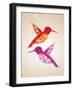 Colorful Humming Birds Illustration-cienpies-Framed Art Print