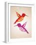 Colorful Humming Birds Illustration-cienpies-Framed Art Print