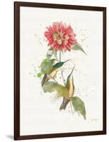 Colorful Hummingbirds I-Katie Pertiet-Framed Art Print