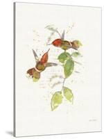 Colorful Hummingbirds II-Katie Pertiet-Stretched Canvas