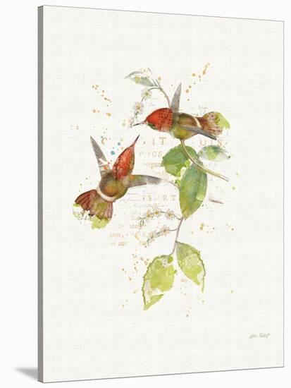 Colorful Hummingbirds II-Katie Pertiet-Stretched Canvas