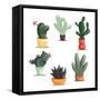 Colorful Illustration of Succulent Plants and Cactuses in Pots. Vector Botanical Graphic Set with C-kateja-Framed Stretched Canvas