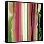Colorful Ink Wash 4A-Tracy Hiner-Framed Stretched Canvas