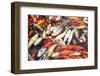 Colorful Japanese Carps-Zoom-zoom-Framed Photographic Print