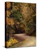 Colorful Journey-Jai Johnson-Stretched Canvas