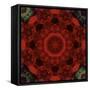 Colorful kaleidoscope.-Anna Miller-Framed Stretched Canvas