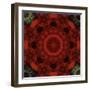 Colorful kaleidoscope.-Anna Miller-Framed Photographic Print