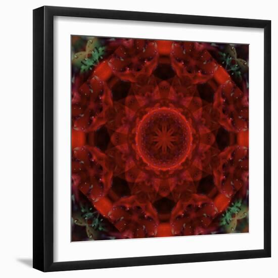 Colorful kaleidoscope.-Anna Miller-Framed Photographic Print