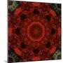 Colorful kaleidoscope.-Anna Miller-Mounted Photographic Print