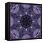 Colorful kaleidoscope.-Anna Miller-Framed Stretched Canvas