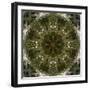 Colorful kaleidoscope.-Anna Miller-Framed Photographic Print