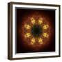 Colorful kaleidoscope.-Anna Miller-Framed Photographic Print