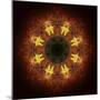 Colorful kaleidoscope.-Anna Miller-Mounted Photographic Print