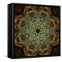 Colorful kaleidoscope.-Anna Miller-Framed Stretched Canvas