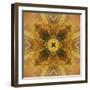 Colorful kaleidoscope.-Anna Miller-Framed Photographic Print