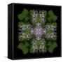 Colorful kaleidoscope.-Anna Miller-Framed Stretched Canvas