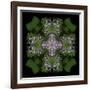 Colorful kaleidoscope.-Anna Miller-Framed Photographic Print