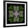 Colorful kaleidoscope.-Anna Miller-Framed Photographic Print