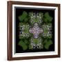 Colorful kaleidoscope.-Anna Miller-Framed Photographic Print