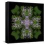 Colorful kaleidoscope.-Anna Miller-Framed Stretched Canvas