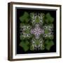 Colorful kaleidoscope.-Anna Miller-Framed Photographic Print