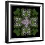 Colorful kaleidoscope.-Anna Miller-Framed Photographic Print