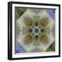 Colorful kaleidoscope.-Anna Miller-Framed Photographic Print