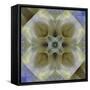 Colorful kaleidoscope.-Anna Miller-Framed Stretched Canvas