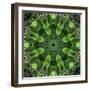 Colorful kaleidoscope.-Anna Miller-Framed Photographic Print